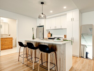 Le Kalm modern kitchen