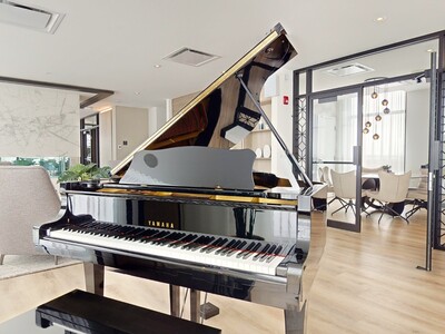Le Virtuo paino