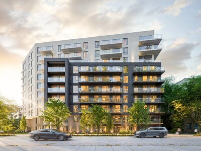 Level – photo 1
