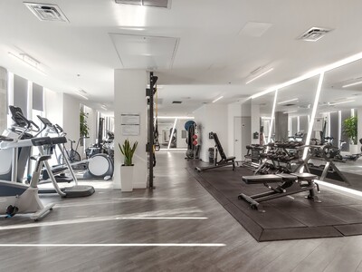 Zenith gym