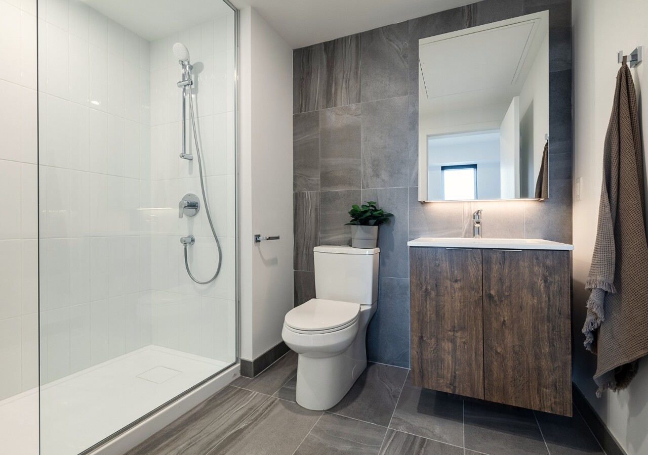 Haleco salle de bain