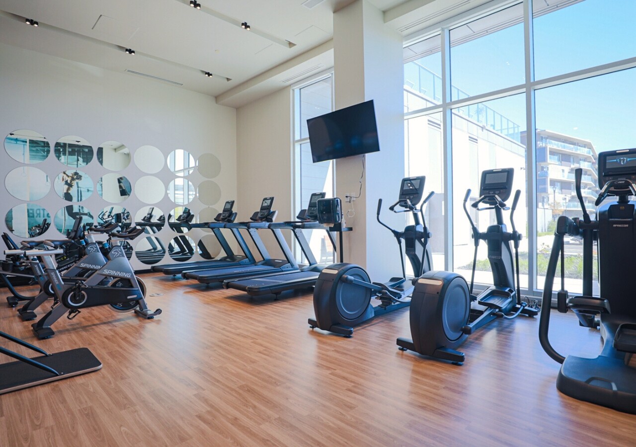 Voltige Aria gym tout équipé