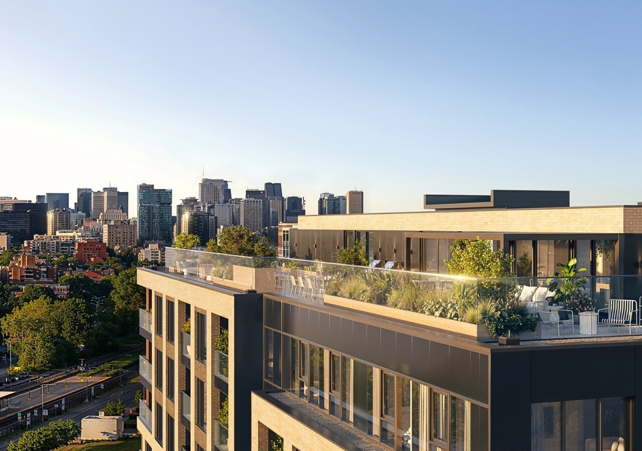 Bosco habitats locatifs terrasse sur le toit