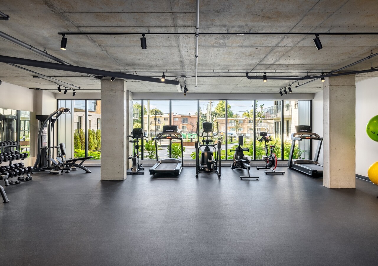 Città Montréal gym