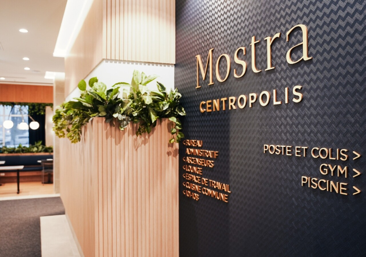 Mostra Centropolis entrée