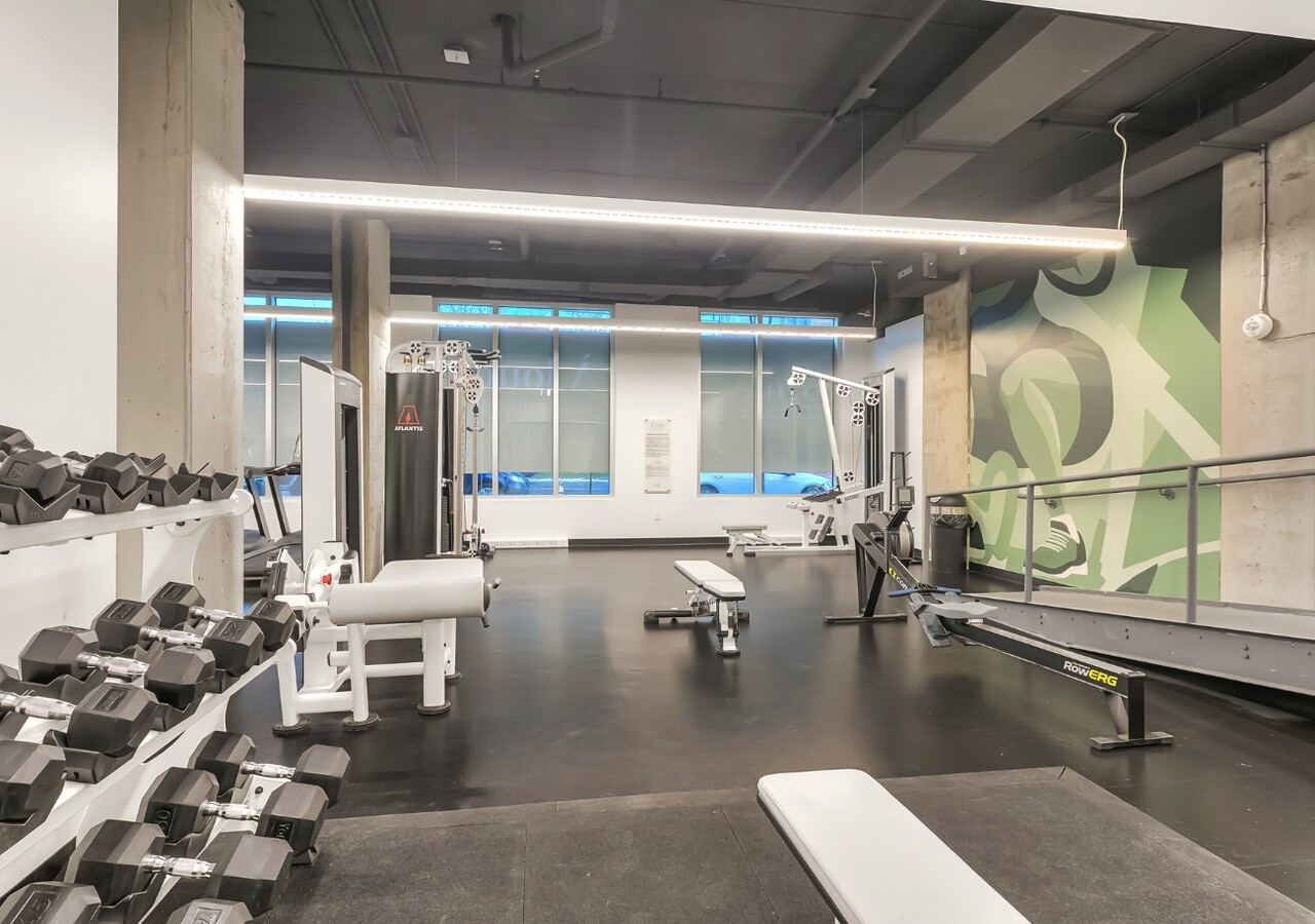 Erin Condos gym tout equipe