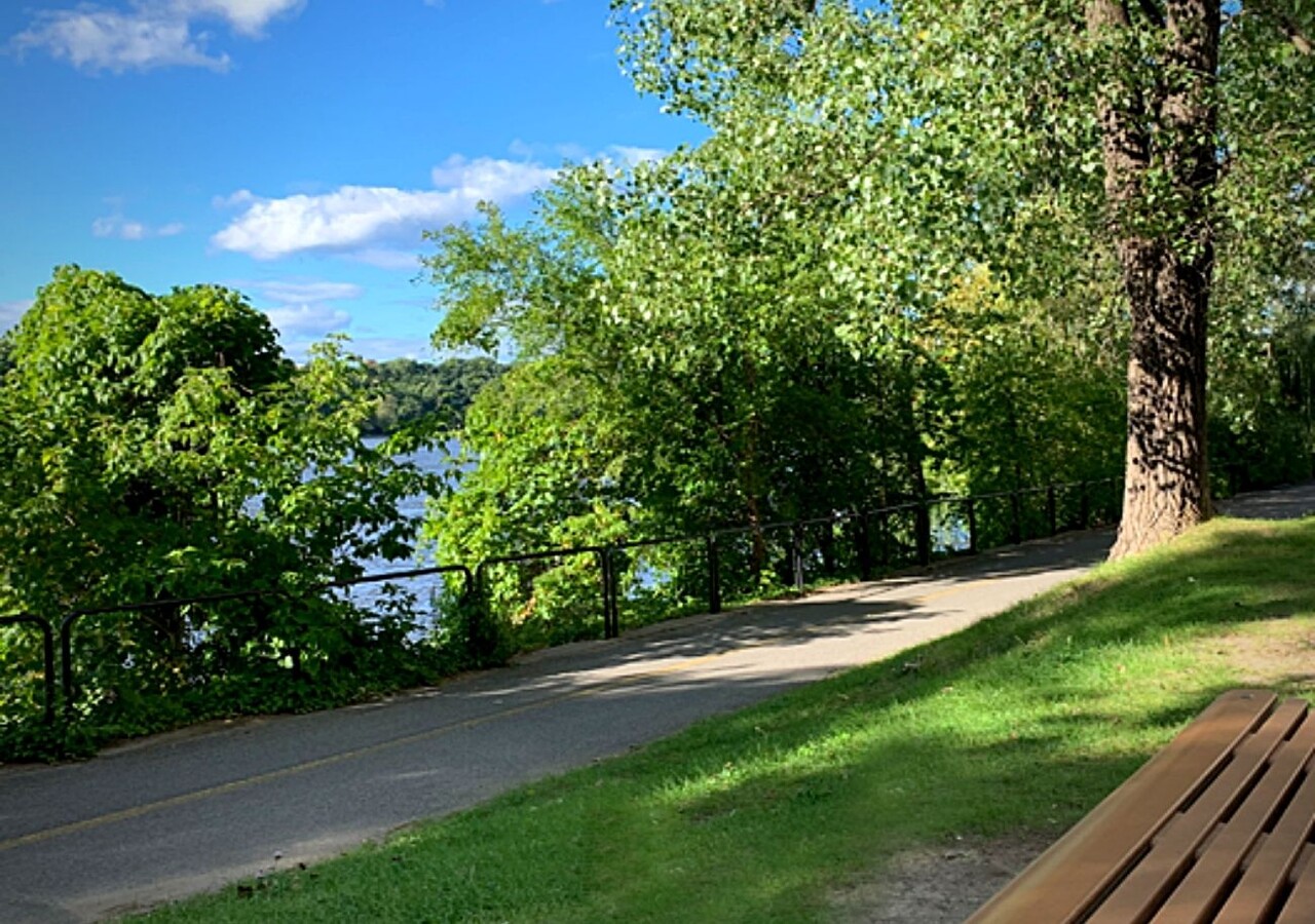 Parc près du projet