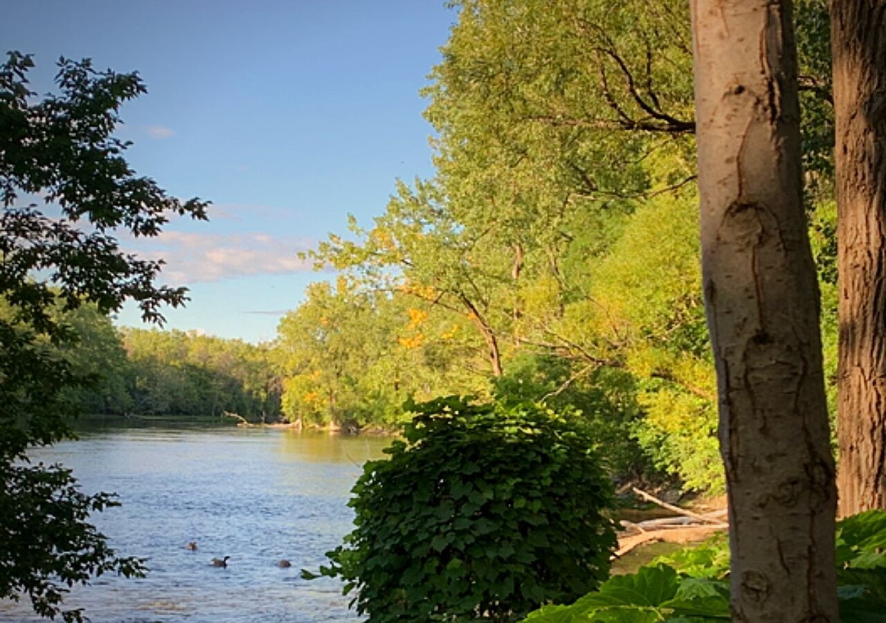 Rivière des Prairies
