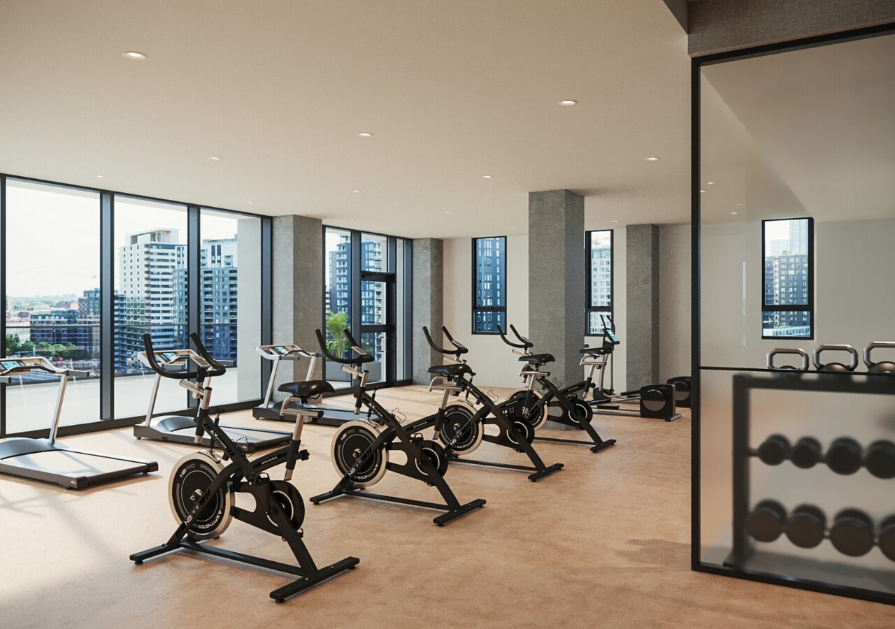 Haleco gym