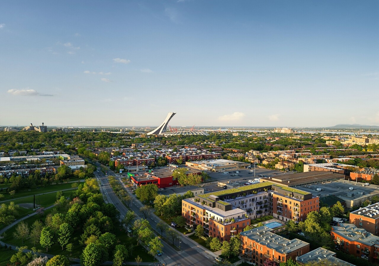 Joseph Condos vue sur le stade olympique
