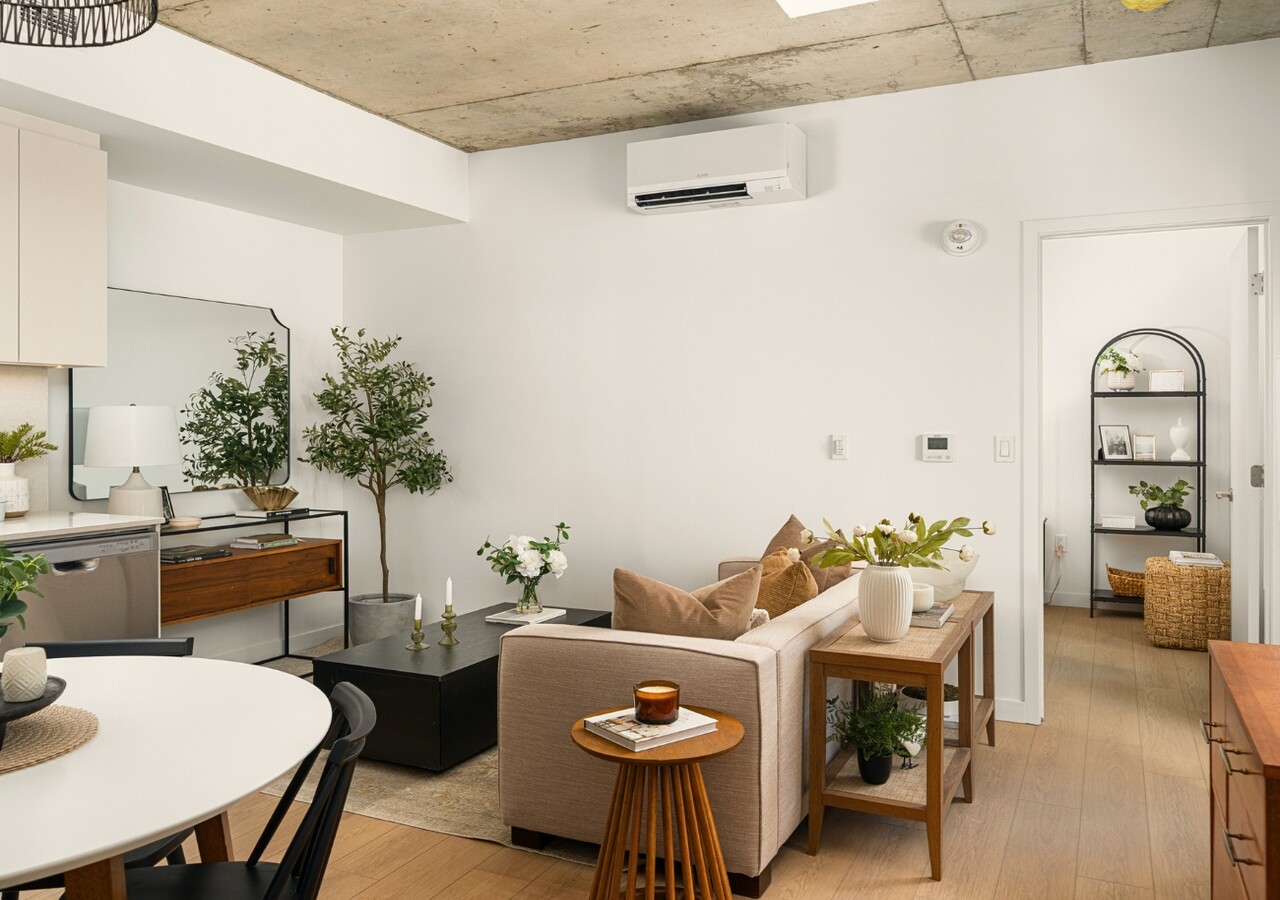 Joseph Condos salon