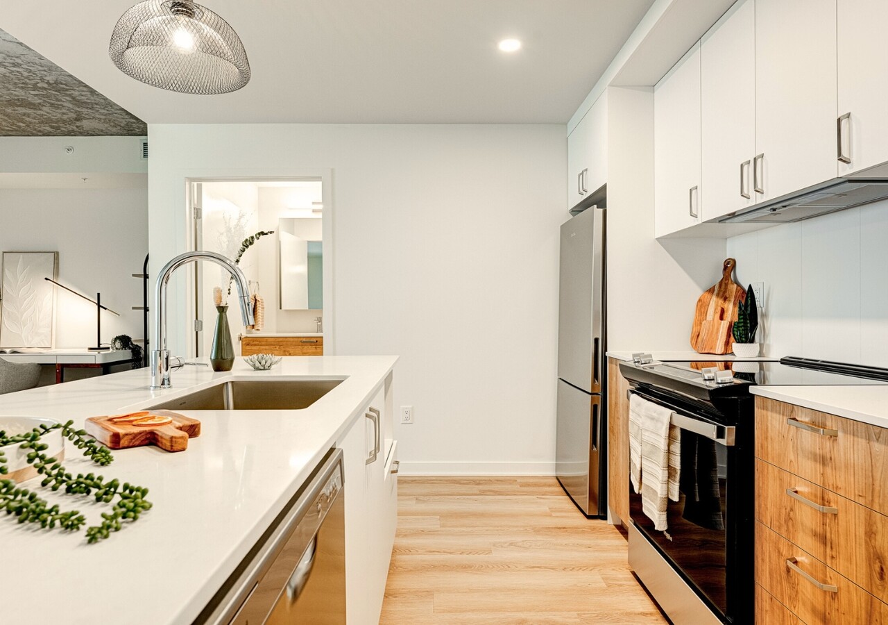 Le Kalm modern kitchen