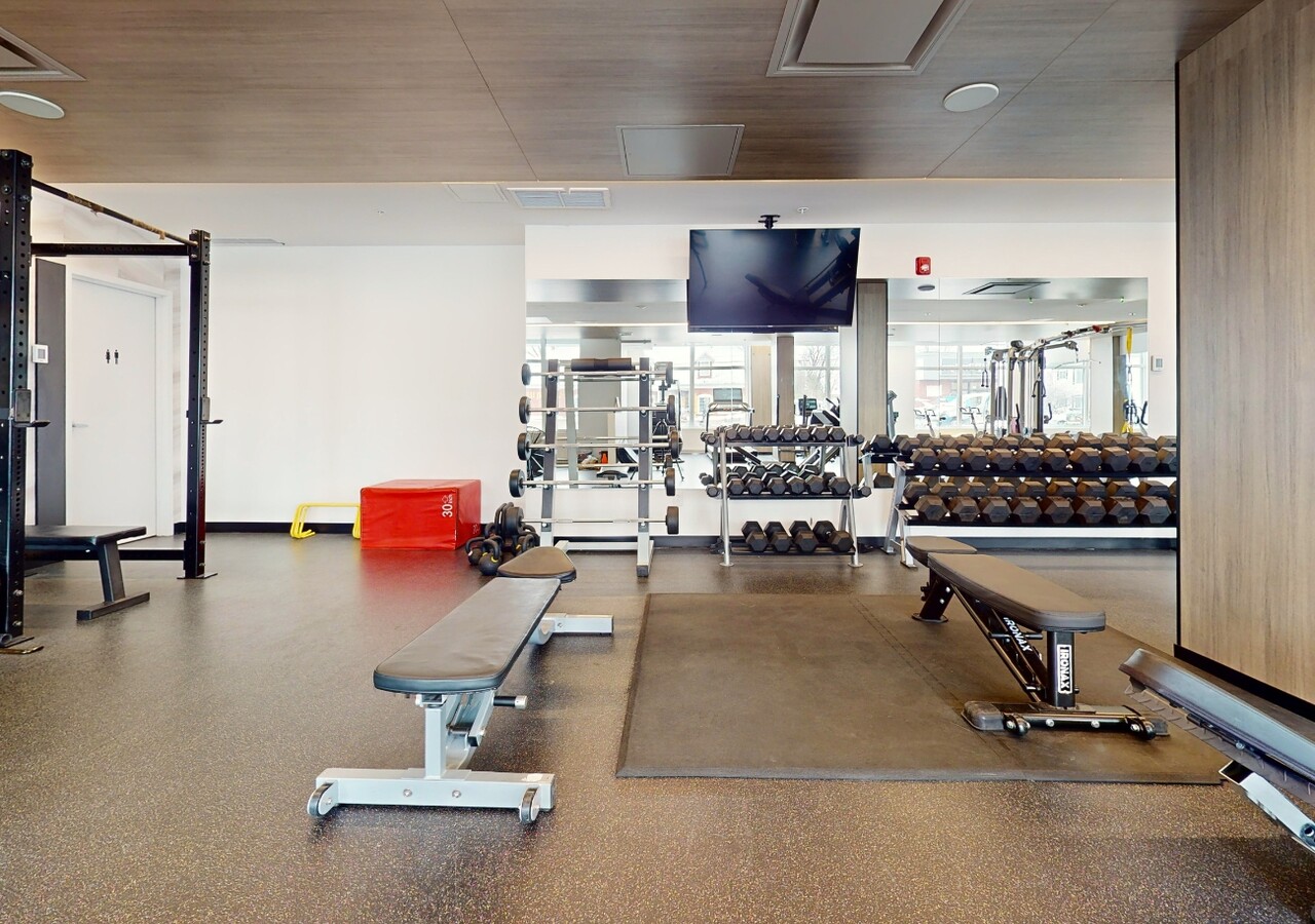 Le Virtuo gym