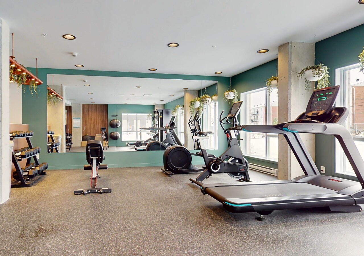 Le Milebrook gym