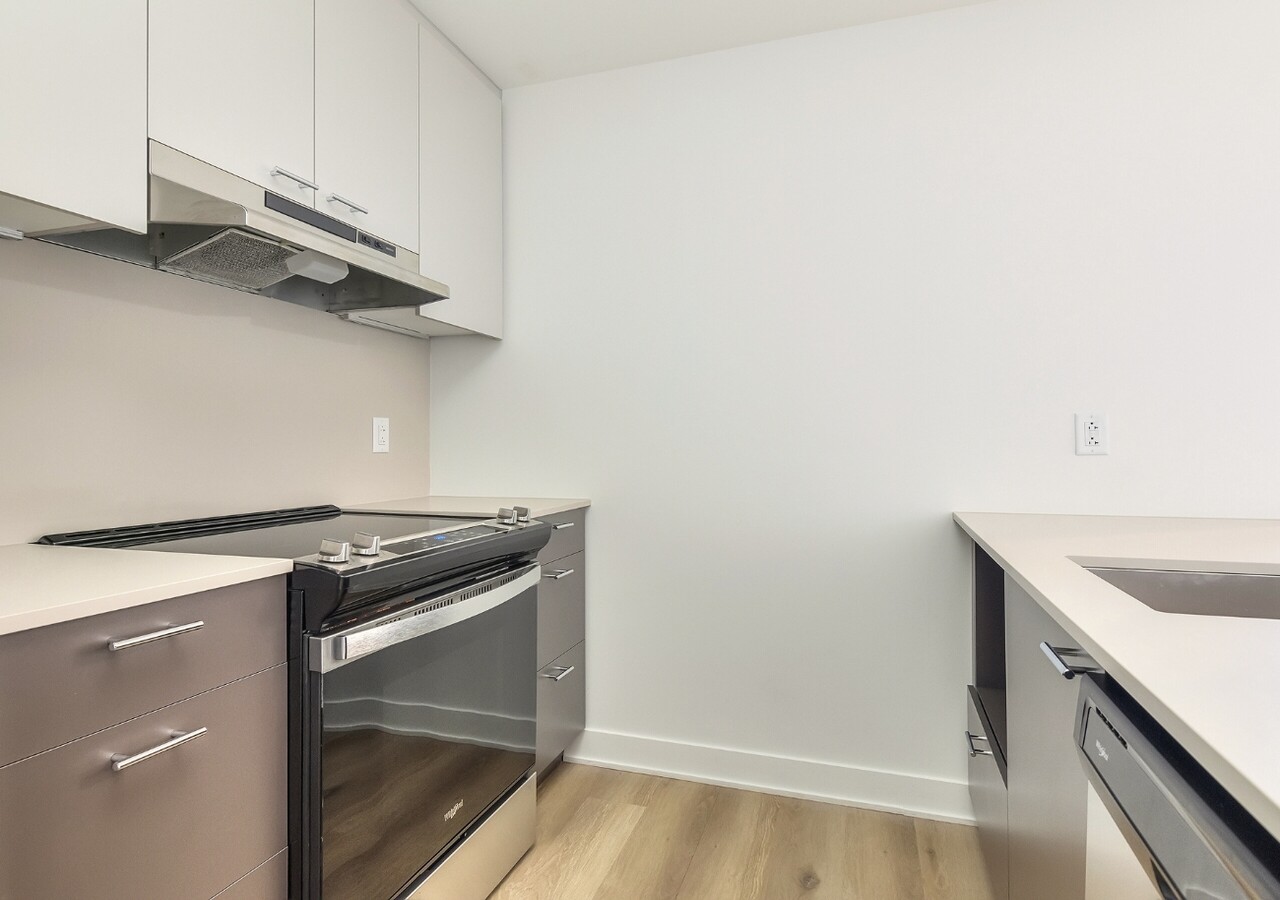 Leora modern kitchen