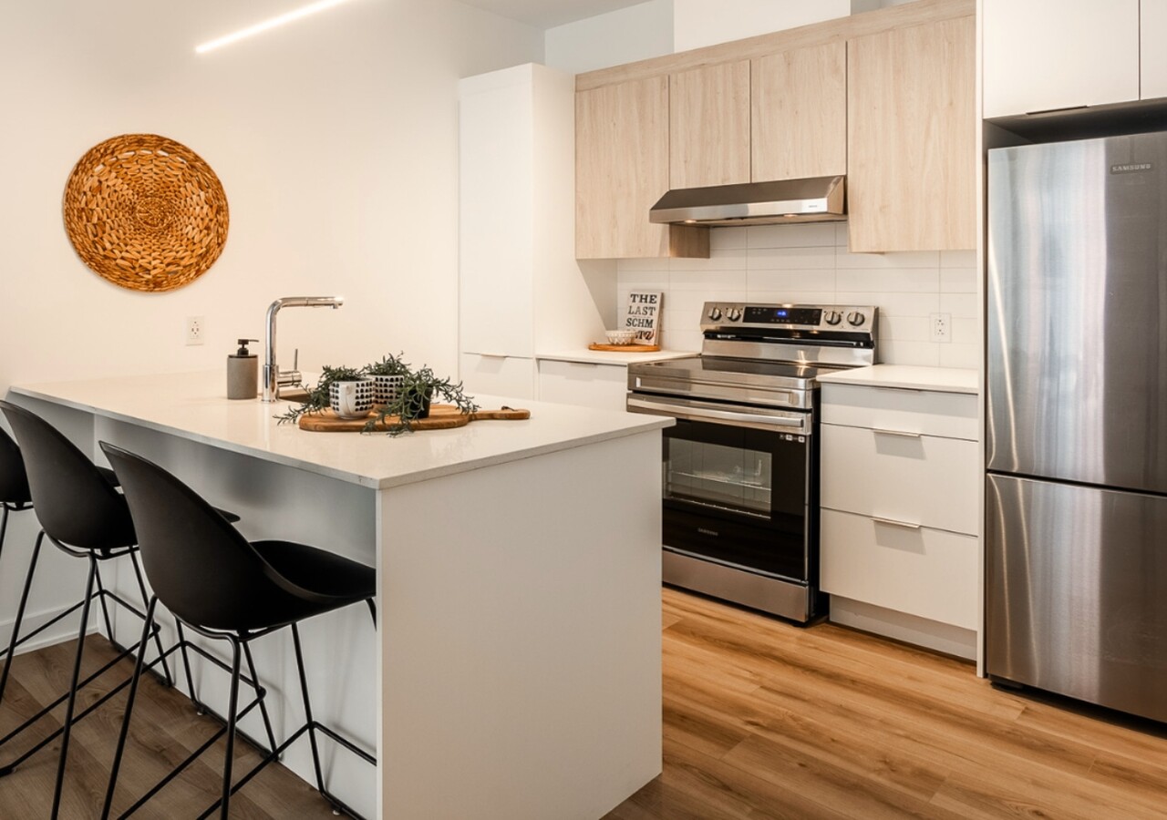 Mostra Maisonneuve cuisine moderne