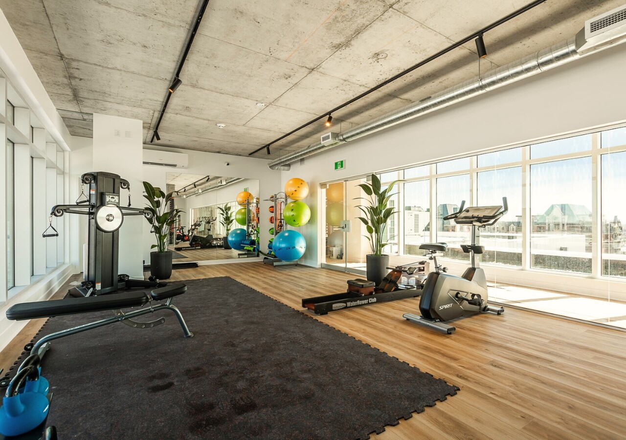 Mostra Maisonneuve gym
