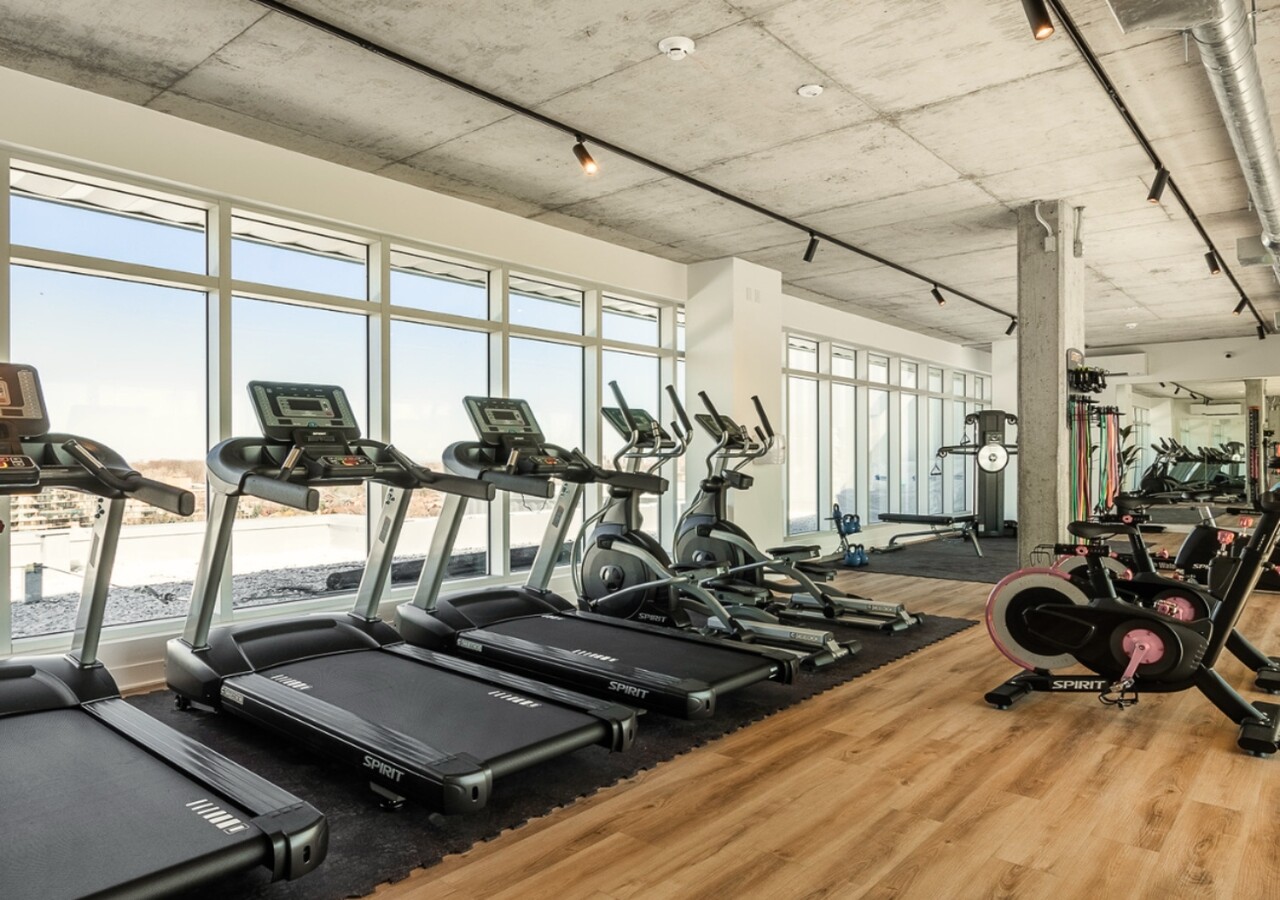 Mostra Maisonneuve gym
