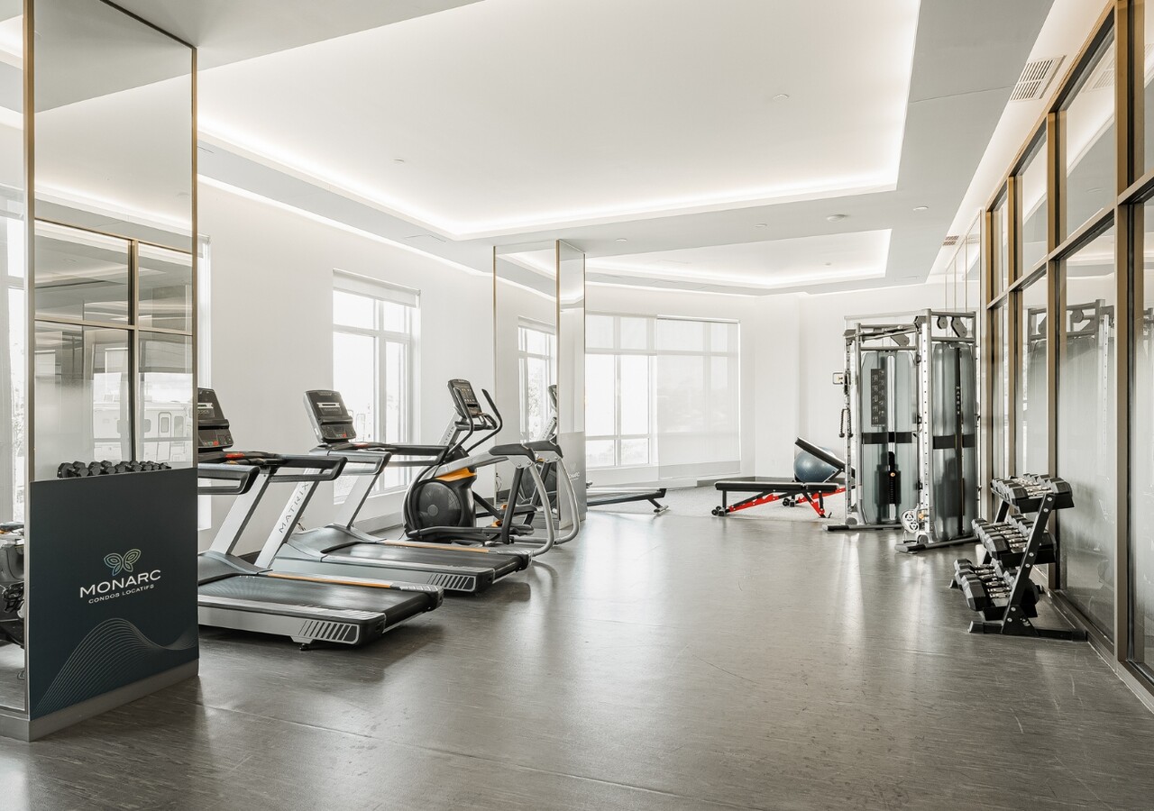 Monarc Harmoni gym