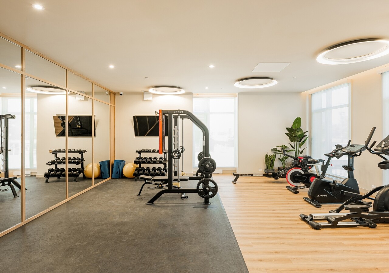 Monarc Infiniti gym