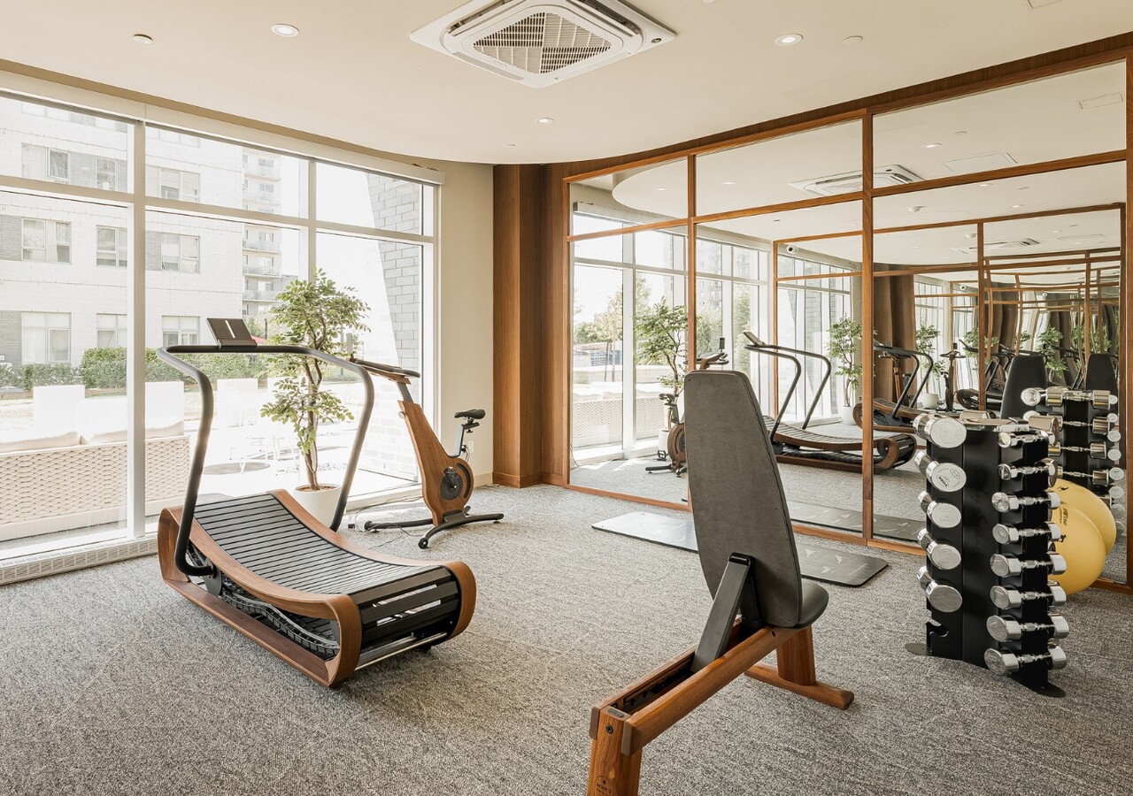 Monarc Sereniti gym