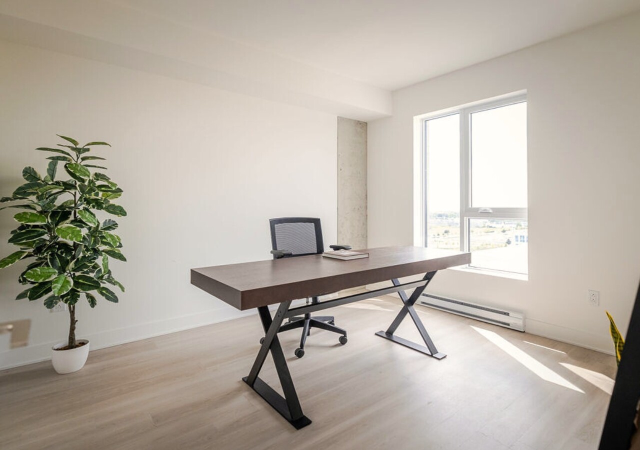 Mostra Centropolis bureau