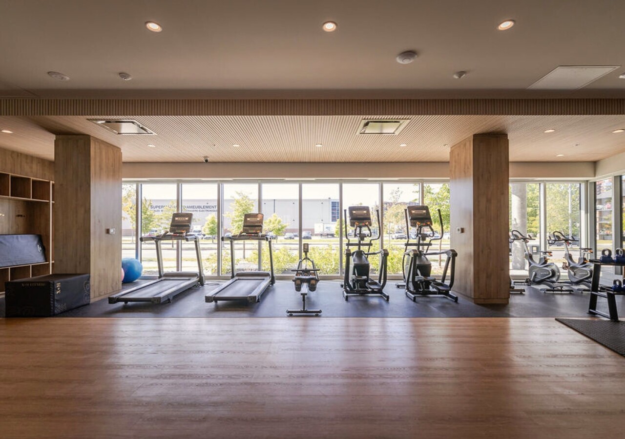 Mostra Centropolis gym