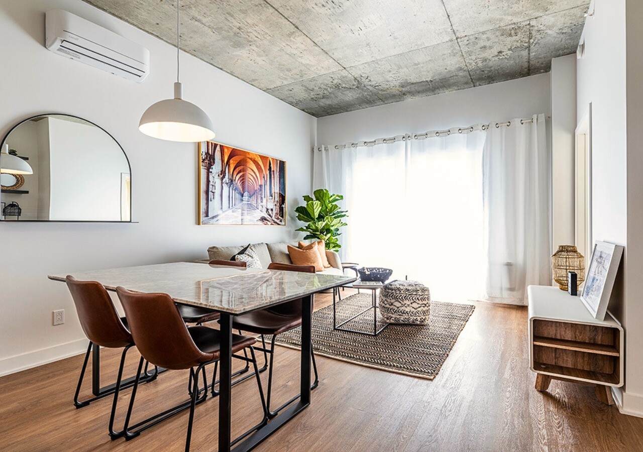 Mostra Newman salon lumineux