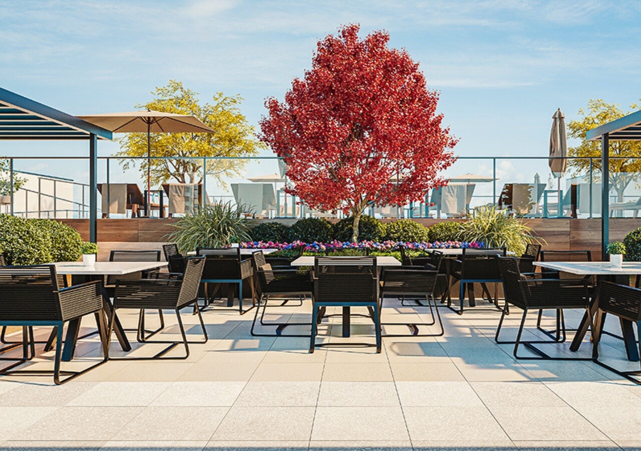 Mostra Newman terrasse sur le toit