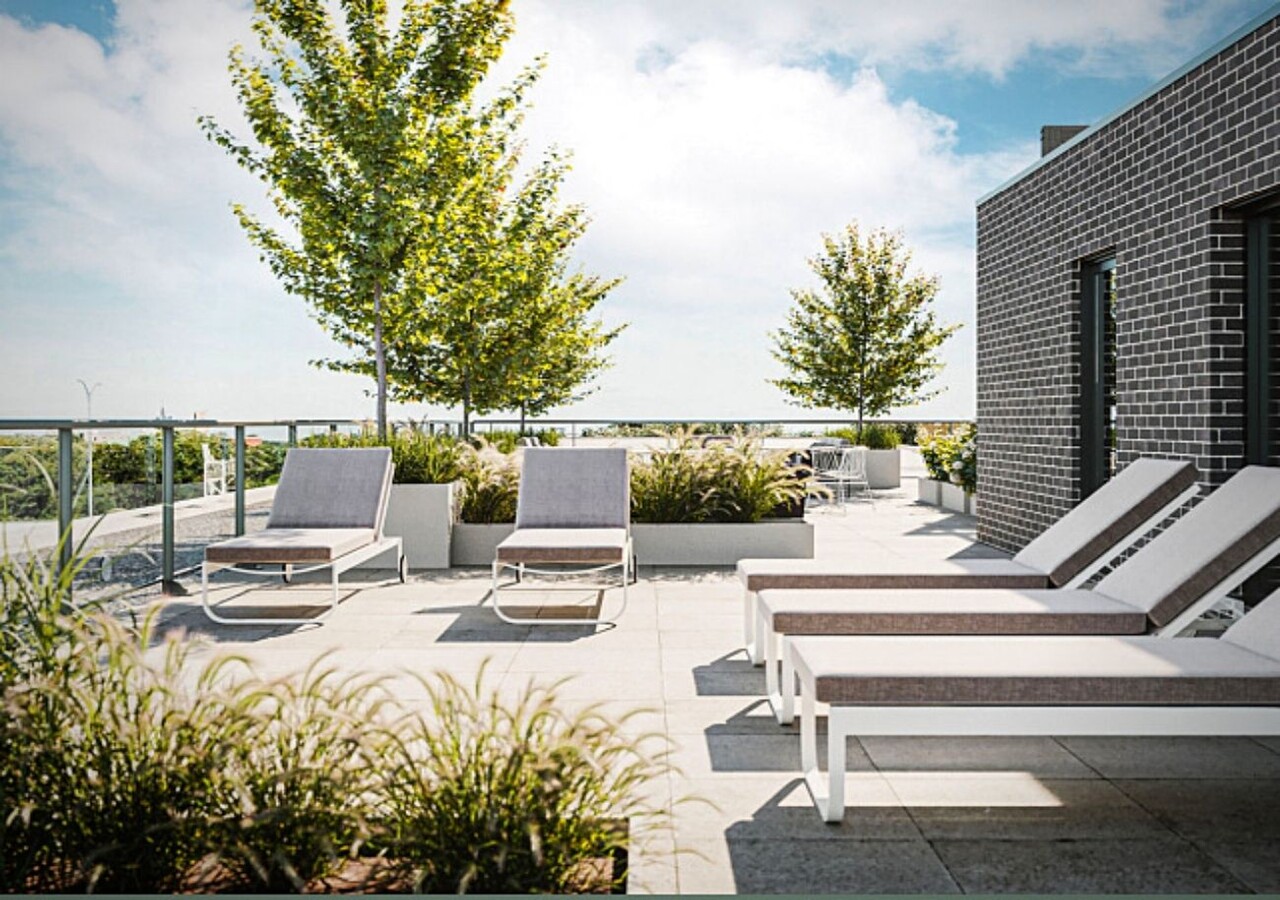 Royalton terrasse