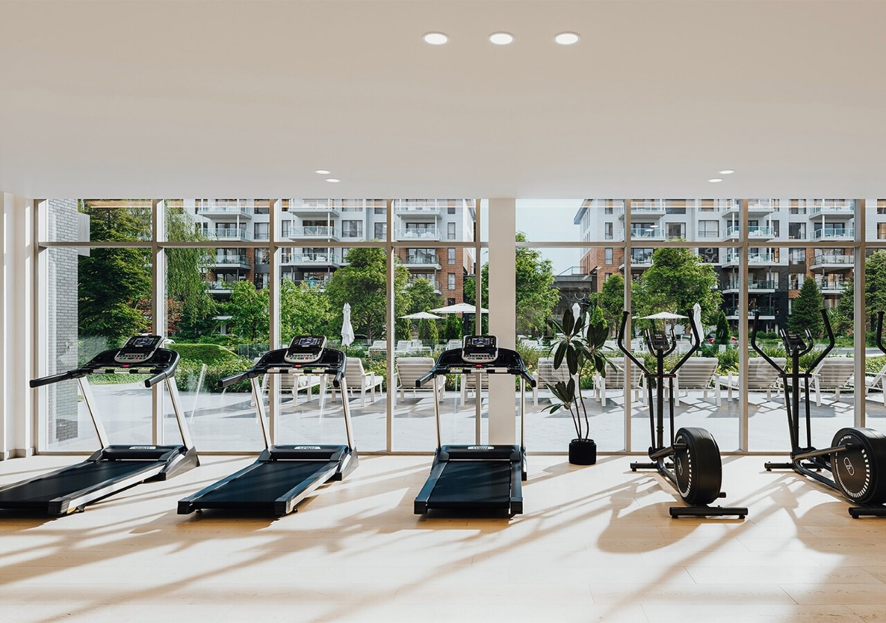 Citiluxx gym tapis roulant 