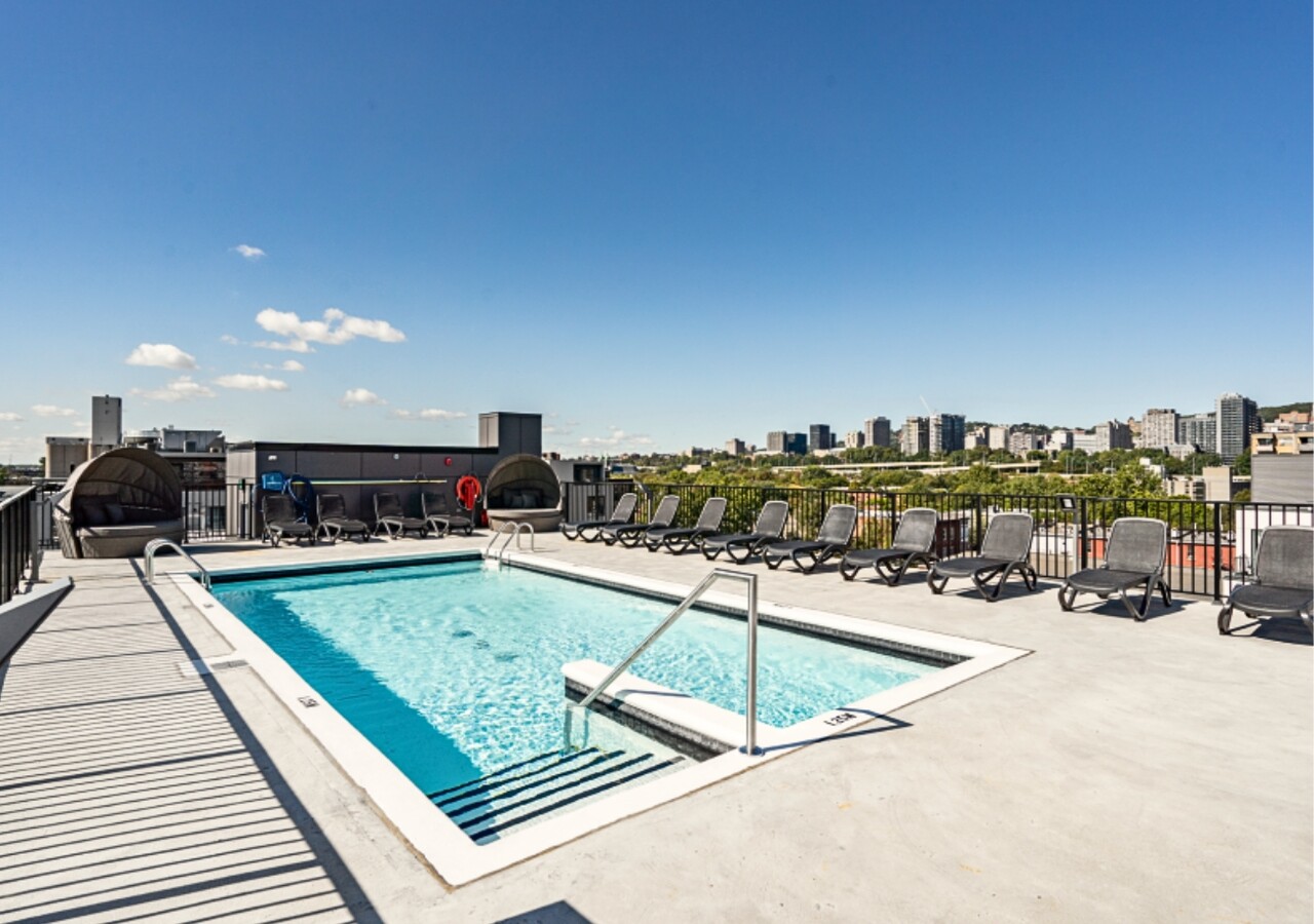 Will & Rich piscine sur le toit