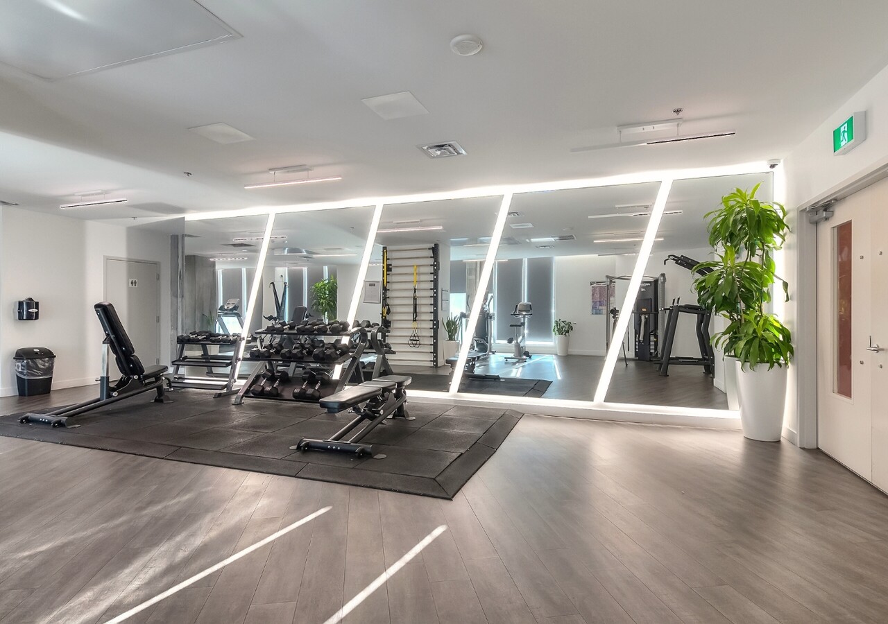 Zenith gym