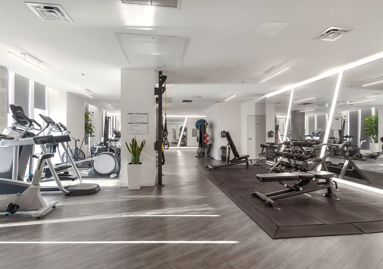 Zenith gym